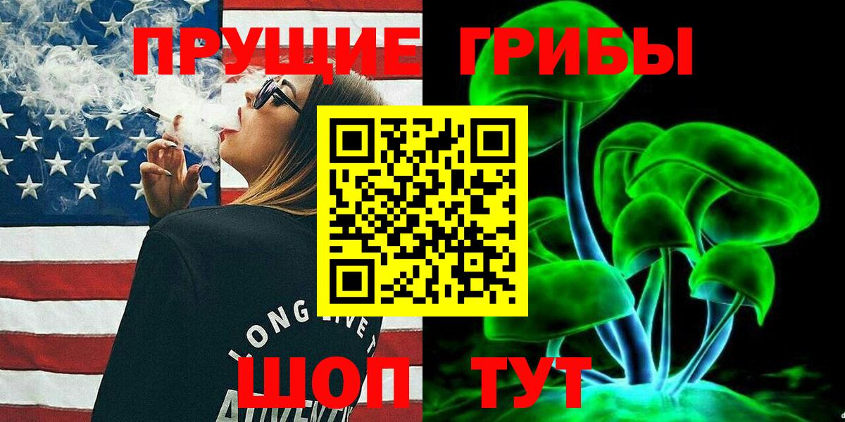 Артём  Псилоцибиновые грибы мицелий  Вход с VPN 